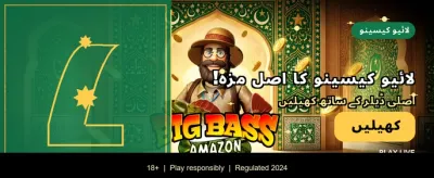 mj77 کے ساتھ جیتیں بڑے انعامات banner image
