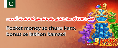 100% ویلکم بونس promotion